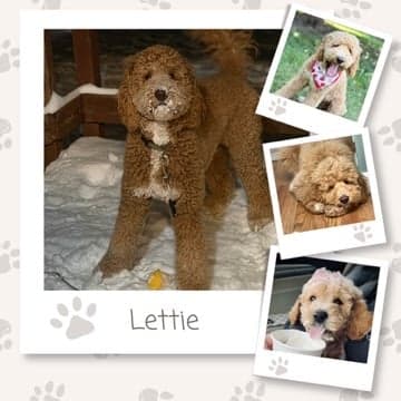 Lettie, Mom