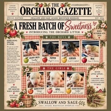 The Orchard Gazette litter announcement